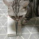 새오약국 이미지