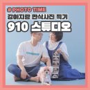 주차06 | 대구 강아지랑 만삭사진 찍기 910 스튜디오 추천