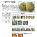 레시피(주) 이미지
