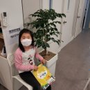 벨라뮤직아카데미음악학원 이미지