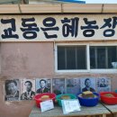 은혜이발관