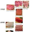 보라매참치