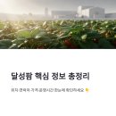 팔금면 | 달성팜 위치 연락처 총정리 | 네이버 지도 메뉴 가격 운영시간 후기