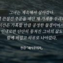 한강 작가의 필력 이미지