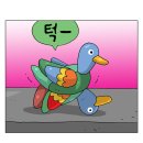 신고금 Daum카페