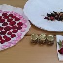 꽃차소믈리에양성과정 이미지