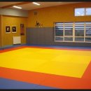 용인대 유도 체육관 이미지