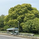 대천동주민센터 이미지