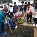 흥선농장 이미지