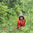 천반산길 이미지