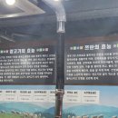 206 | 수원 정자동 태양부양꼬치 : 세트C(양꼬치+양갈비살+어향가지) 내돈내산 솔직 후기