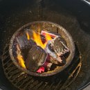 완도6호 이미지