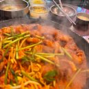 쭈꾸미도사 이미지