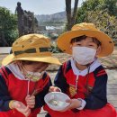 해바라기유치원 이미지