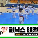피닉스태권도장 이미지