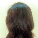 송정카클리닉 이미지