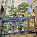 조이마루 아트홀 이미지