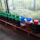 쌈사랑 쌈밥 이미지