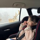 다사 다이소 앞 | 후쿠오카 벳푸 아프리칸 사파리 유후인 이온마트