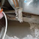 새희망이용소 이미지