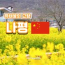 고향꽃화원 이미지