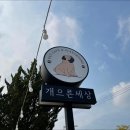 애견세상 이미지