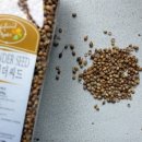 가람치킨