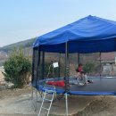 칠곡경북 동물약국 | 경북 칠곡 아이랑 가볼 만한 곳 / 직접 체험할 수 있는 동물 카페 [칠곡동물체험카페]