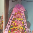 제주 아마추어 락밴드 "밀감창고"공연~