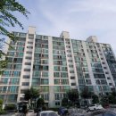 백송
