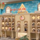 고양이카페 루프캣미 명동점 이미지