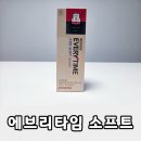직장인 피로개선 홍삼스틱 추천! 정관장 에브리타임 소프트 후기