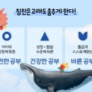 양문유치원 이미지