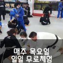 팀토마주짓수삼산 네이버블로그