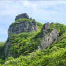 일림산 사자산(미봉 두봉) 제암산 철쭉산행(23.4km)--① 이미지