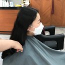 팜스프링스헤어 이미지