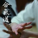 합기도 일산도장 이미지