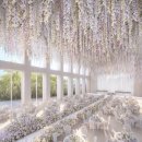 푸드제일아이티 | W-10. 수원 웨딩홀 메종디탈리 26년 상/하반기 비수기 및 성수기 견적공유O / 계약X