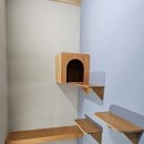 고양이호텔코자냥 이미지