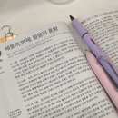 일상