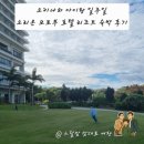 용호 Sea-Side 관광지 | 오리온 모토부 리조트 5박6일 꼼꼼 후기 아이랑 갈만한 오키나와 북부 호텔 추천 총정리