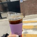 앙디트