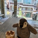 성수 서울숲 카페 그레이펭귄컴퍼니 펭귄 카페 후기