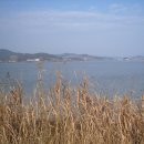 사명대사생가로 Daum카페