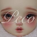 메르헨 B 이미지