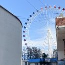 DAM WALL STAY 이미지