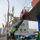 다사농협클린주유소 이미지