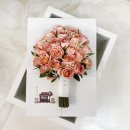 정경스토리 이미지