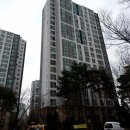 스타501 이미지
