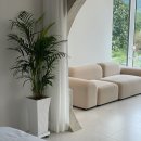 베지아웃 이미지